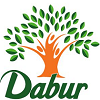 duber logo